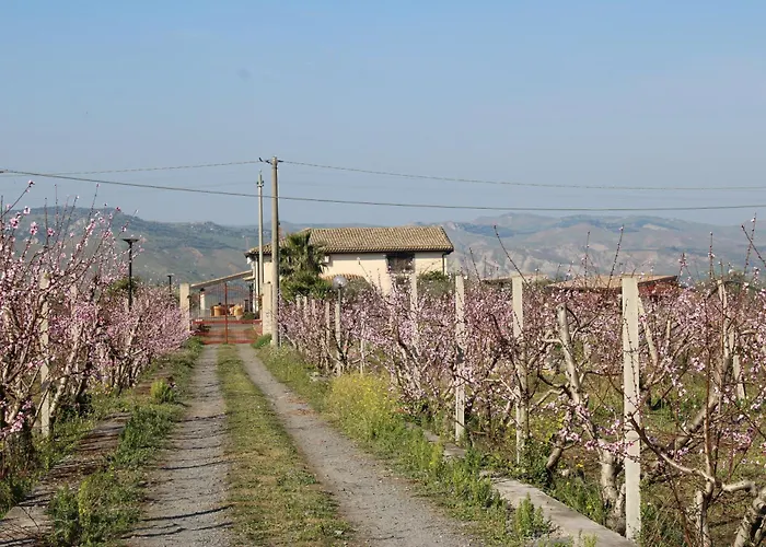 Casa de hóspedes Ranch Simeto Paterno (Sicily)